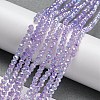 Transparent Baking Painted Glass Beads Strands DGLA-F002-02B-03-2