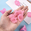 Transparent Acrylic Beads BSF796-C10-7