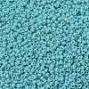 MIYUKI Round Rocailles Beads SEED-G007-RR0412L-3