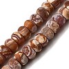 Dyed & Heated Natural Fire Crackle Agate Beads Strands G-D336-01-1
