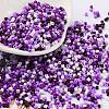 Baking Paint Glass Seed Beads SEED-S042-05B-53-1