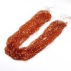 Baking Paint Transparent Glass Beads X1-DGLA-A035-T10mm-A04-2