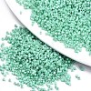 FGB 11/0 Grade A Baking Paint Glass Seed Beads SEED-S030-1036-1