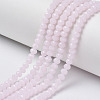 Glass Beads Strands EGLA-A034-J3mm-D02-1