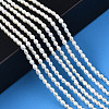Natural Cultured Freshwater Pearl Beads Strands PEAR-N012-02G-6