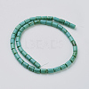 Natural Magnesite Beads Strands TURQ-K003-21D-3
