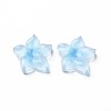 Transparent Epoxy Resin Cabochons CRES-S365-23B-2