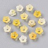 Frosted Transparent Acrylic Beads X-OACR-N137-72G-2