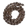 Transparent Glass Beads Strands EGLA-N013-T4mm-D27-2