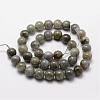 Natural Labradorite Bead Strands G-O155-05A-8mm-2