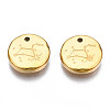 316 Surgical Stainless Steel Charms STAS-S116-418H-G-2