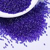 MIYUKI Delica Beads X-SEED-J020-DB1896-1