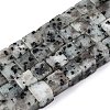 Natural Sesame Jasper/Kiwi Jasper Beads Strands G-T139-8x8-01A-4