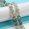 Natural Green Rutilated Quartz Beads Strands G-A219-A03-02-4