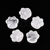 Natural Quartz Crystal Cat Paw Print Figurines DJEW-N003-03J-1