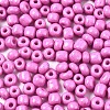 6/0 Glass Seed Beads SEED-S058-A-F453-3