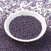 MIYUKI Round Rocailles Beads SEED-X0054-RR1013-2