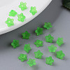 Transparent Acrylic Beads PL554-13-8