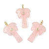 Natural Rose Quartz Carved Pendants G-C282-04B-1