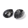 Natural Larvikite Cabochons G-H094-01A-15-2