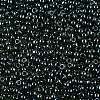 TOHO 11/0 Round Beads SEED-JPTR11-0119-2