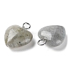 Natural Labradorite Pendants G-E603-01P-08-3