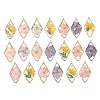 Alloy Resin Pendants RE-CBA591C-02G-1