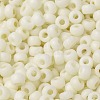 MIYUKI Round Rocailles Beads SEED-G008-RR2021-3