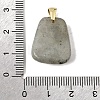 Natural Labradorite Pendants G-C282-03F-3