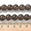 Natural Ice Obsidian Beads Strands G-P590-A03-10mm-01-3