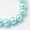 Baking Painted Pearlized Glass Pearl Round Bead Strands HY-Q003-6mm-45-2