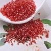 MIYUKI Delica Beads X-SEED-J020-DB0098-1