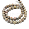 Natural Maifanite/Maifan Stone Beads Strands X-G-T049-8mm-10-2