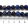 Natural South Africa Sodalite Beads Strands G-S259-35-8mm-8