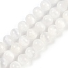 Natural Selenite Beads Strands G-G167-A01-01-1