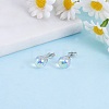 4 Pairs 4 Style Natural Quartz Crystal Round Ball Stud Earrings Set JE958A-6