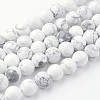 Natural Howlite Bead Strands G-G735-66-10mm-2