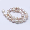 Natural Cultured Freshwater Pearl Beads Strands PEAR-K004-05B-01-2
