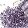 TOHO Round Seed Beads SEED-JPTR08-1300-1
