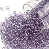 TOHO 8/0 Round Beads SEED-JPTR08-1300-1