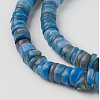 Shell Beads Strands X-SSHEL-E571-49B-1