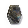 Natural Labradorite Pendants G-C002-01F-2