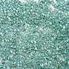 Glass Seed Beads SEED-M011-01A-13-3