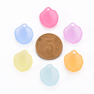 Transparent Frosted Acrylic Pendants MACR-S371-02A-1