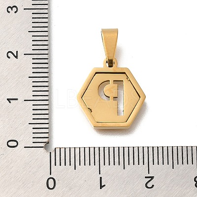 304 Stainless Steel Charms LS-STAS-H227-01G-P-1