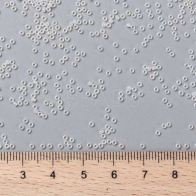 MIYUKI Round Rocailles Beads X-SEED-G009-RR0528-1