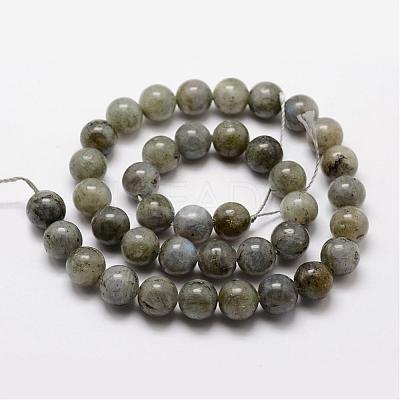 Natural Labradorite Bead Strands G-O155-05A-8mm-1