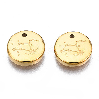 316 Surgical Stainless Steel Charms STAS-S116-418H-G-1