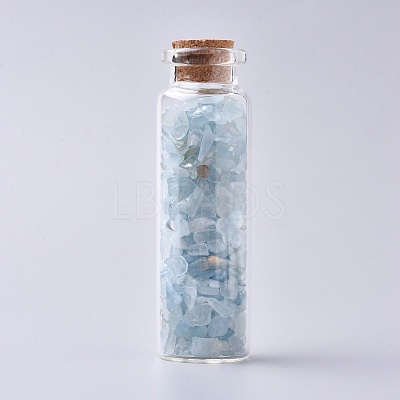 Glass Wishing Bottle DJEW-L013-A19-1