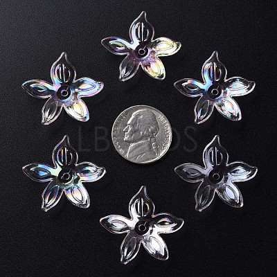 Transparent Acrylic Beads MACR-S373-102-C02-1